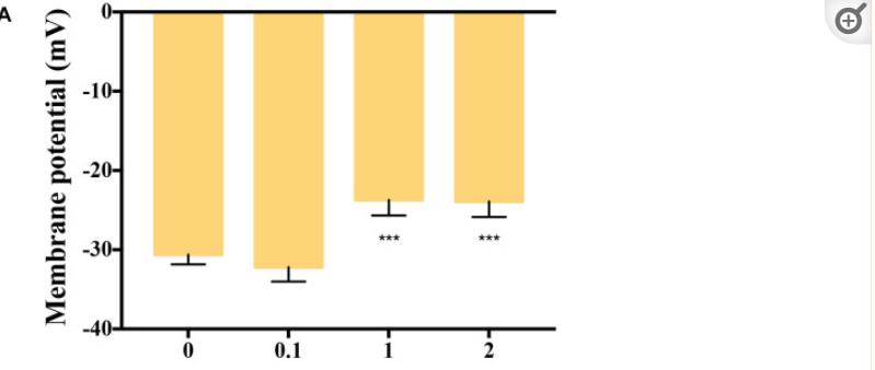 壳寡糖的促进生根作用,壳寡糖对免疫系统的调节作用
