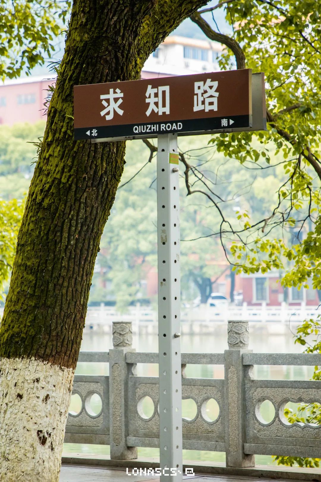 涓崡鍊煎緱鍘诲悧,涓崡璧板嚭鍥板浜嗗悧