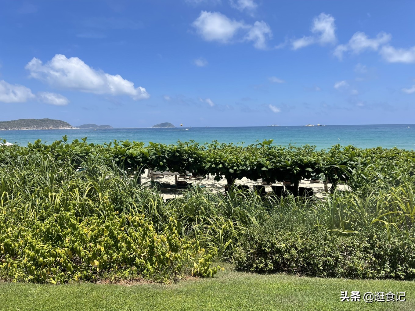 三亚亲子游亚龙湾天域酒店,亚龙湾天域和亚龙湾红树林