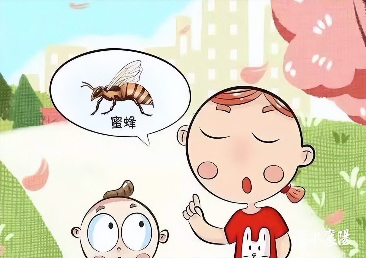 被蜂蜇伤后的4个自救方法,被黄蜂蛰伤应第一时间怎么处理