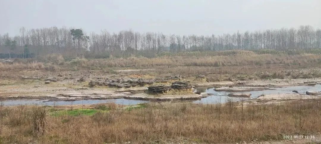 请查收！20个农业重大项目投资机会清单出炉！