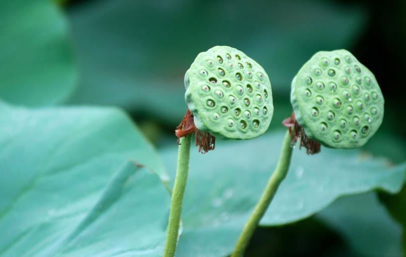 人老了才明白，关系再好，也不要让亲戚住在自己家