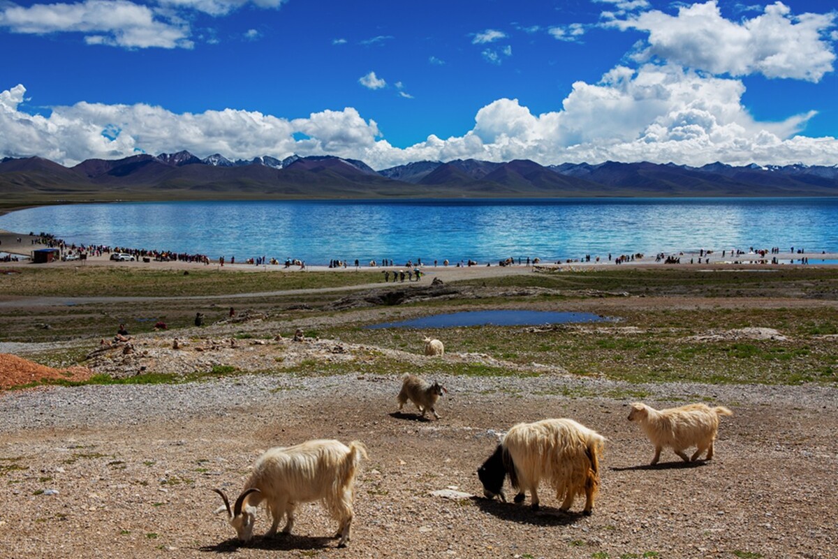 西藏旅游后去西安旅游攻略,新藏线西藏旅游攻略