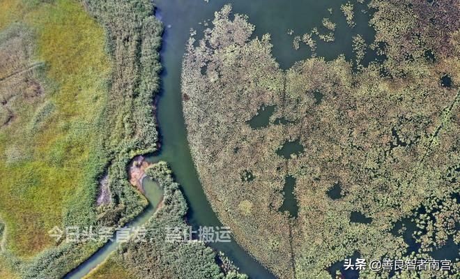 这支部落“不识五谷，只吃鱼”，延续数千年，*疆新**水产如何逆袭？