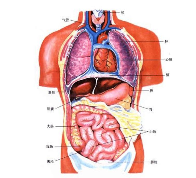 pet-ct查癌准确率,专家揭秘查癌神器petct并非万能