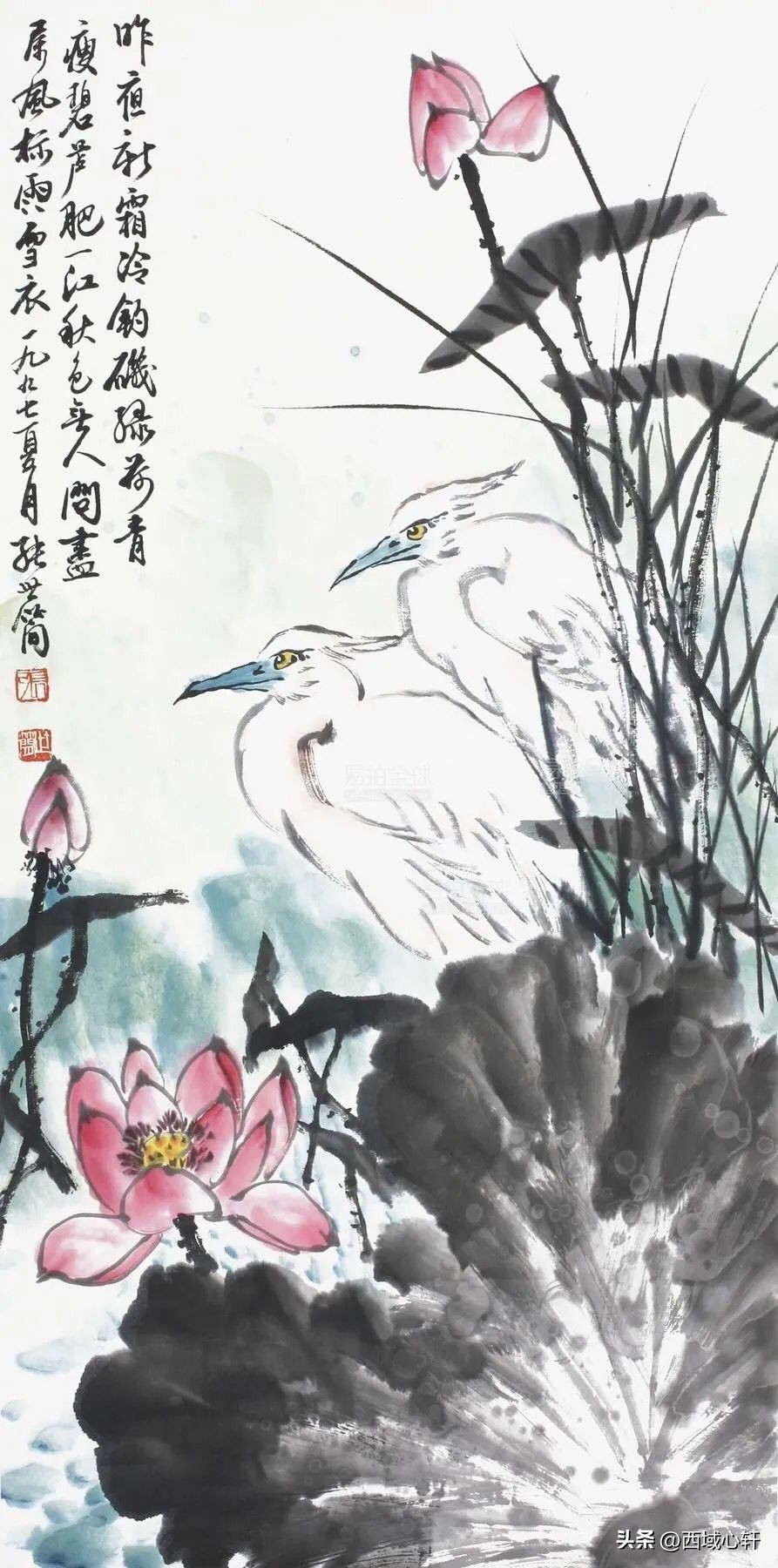 接天莲叶无穷碧映日荷花图片大全,莲叶无穷碧映日荷花别样红三幅图