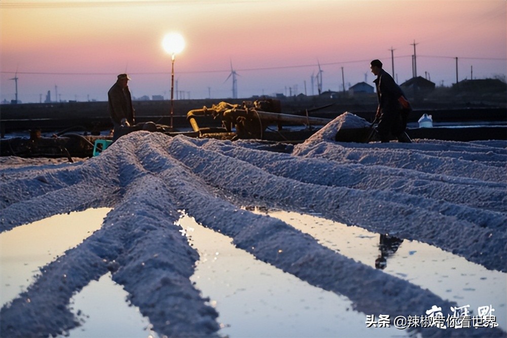 盐城最大的海边城市,盐城海岸线为何一直延伸