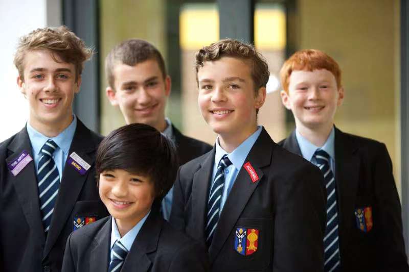 抑郁症青少年健康成长手册,青春期抑郁症的发展过程