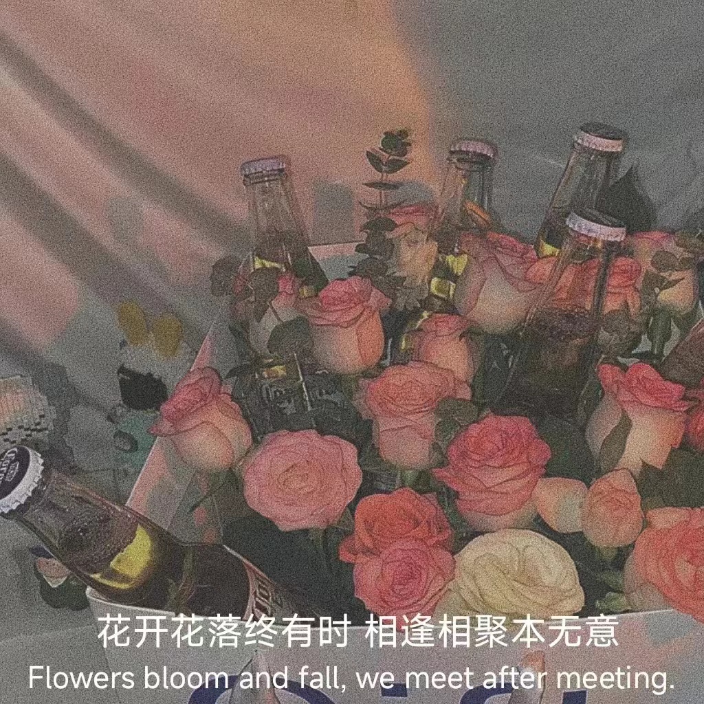 文案最火的句子幽默伤感,句句走心的情感句子伤感文案