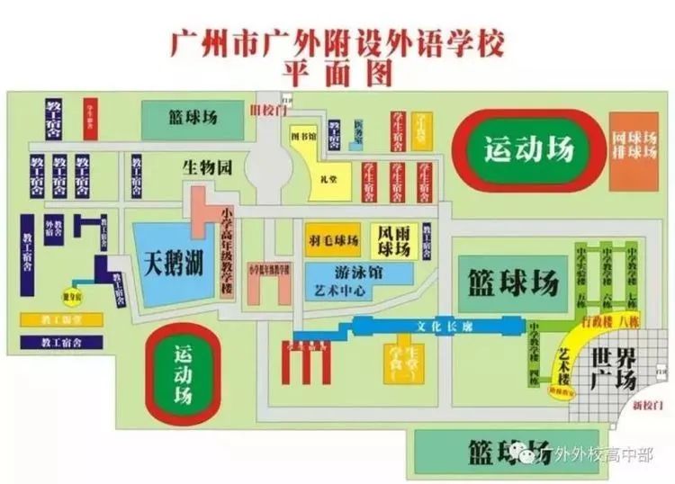 粤港澳湾区四所世界百强大学,广外国际学校值得读吗