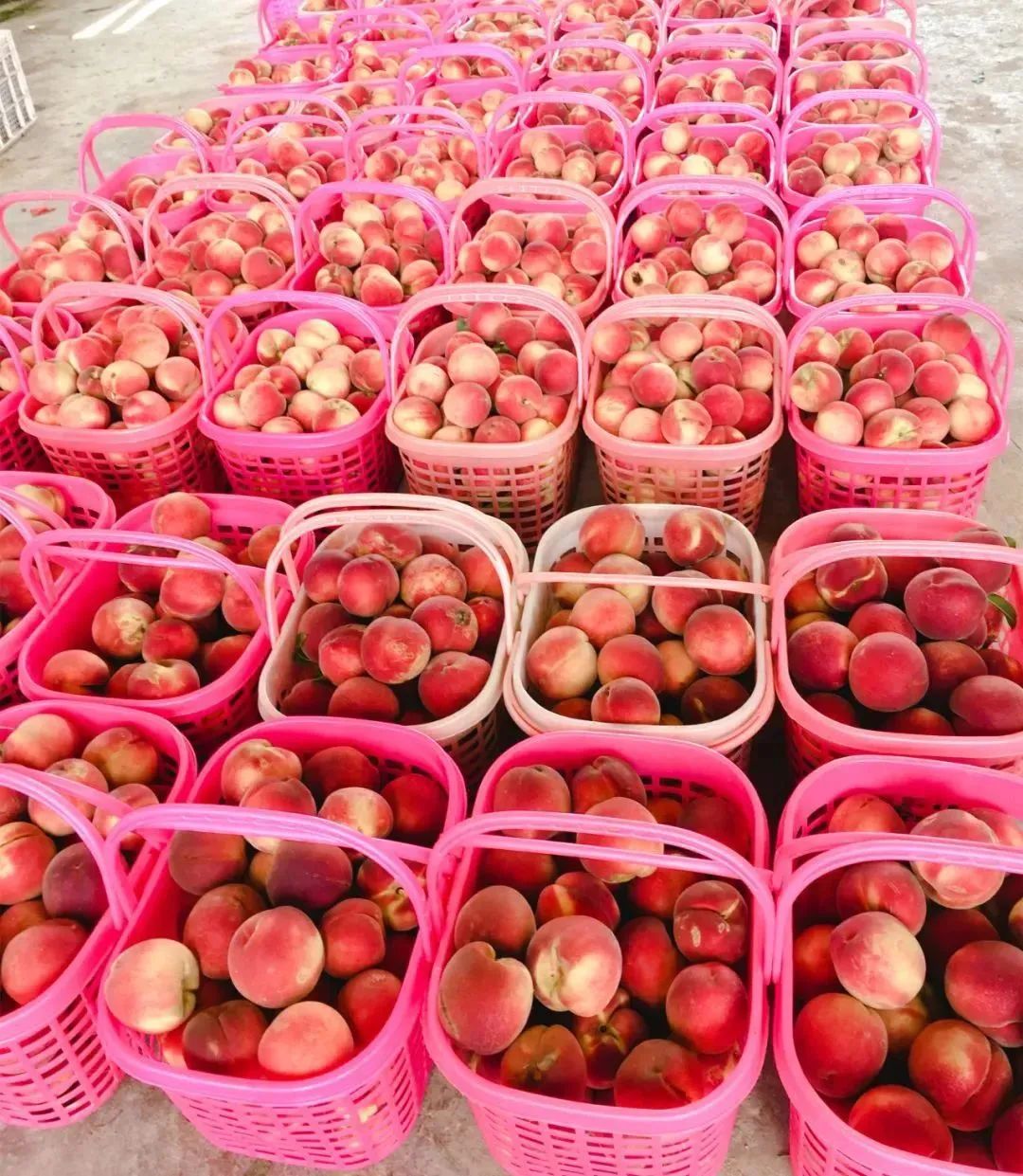 元旦闽侯周边一日游,闽侯周末游