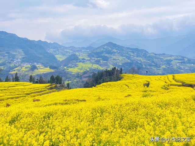 女人这样称呼你说明是真的喜欢你,女生用这六种方式称呼你说明喜欢