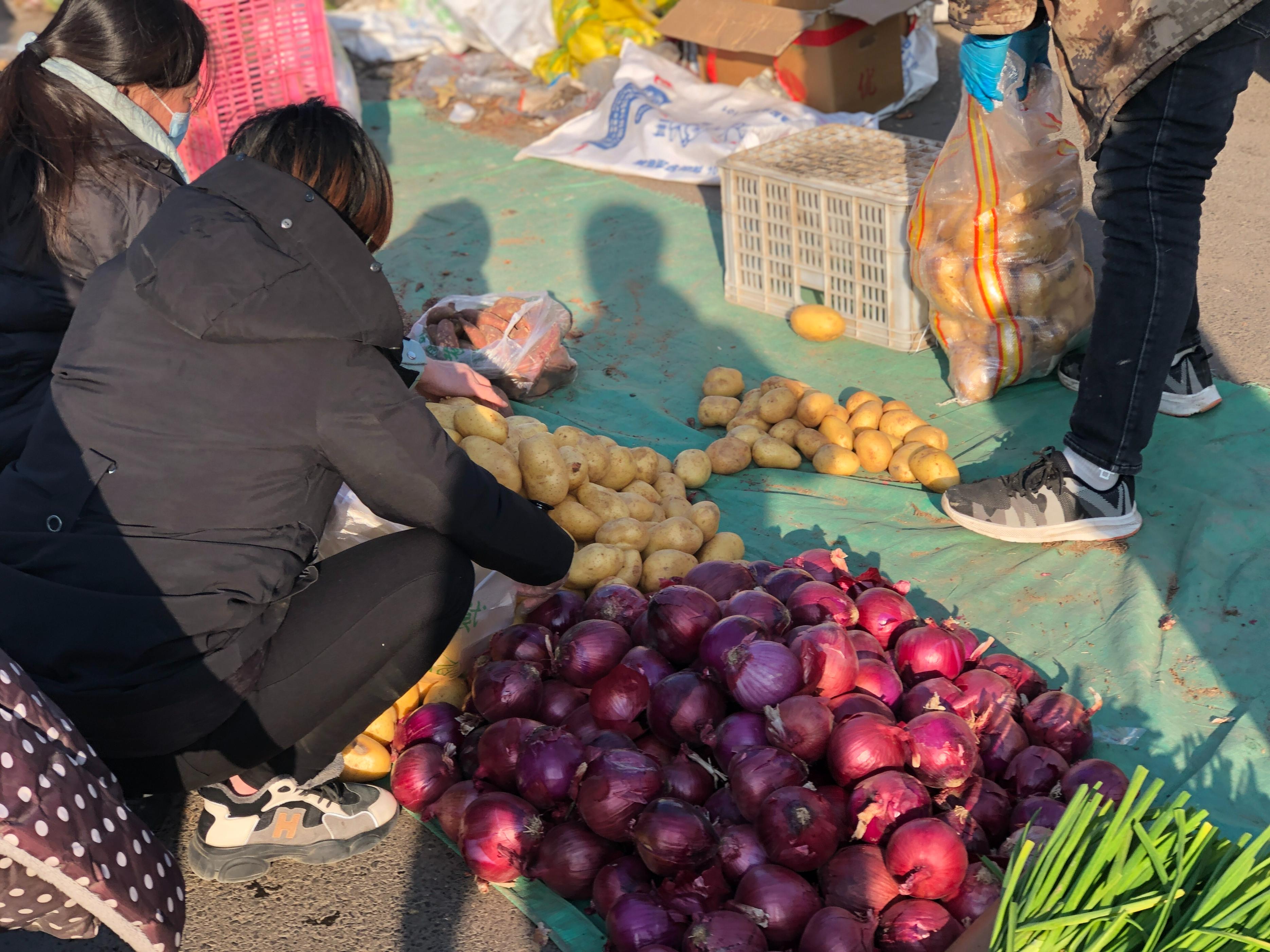 买洋葱怎么买嫩的,洋葱红皮和黄皮哪个好