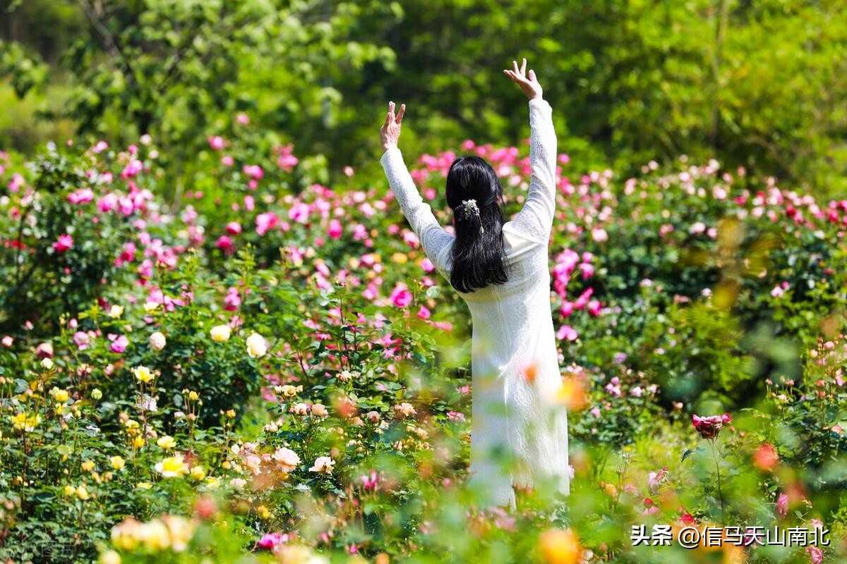 在钻井队上班有前途吗,钻井队临时工和正式工待遇