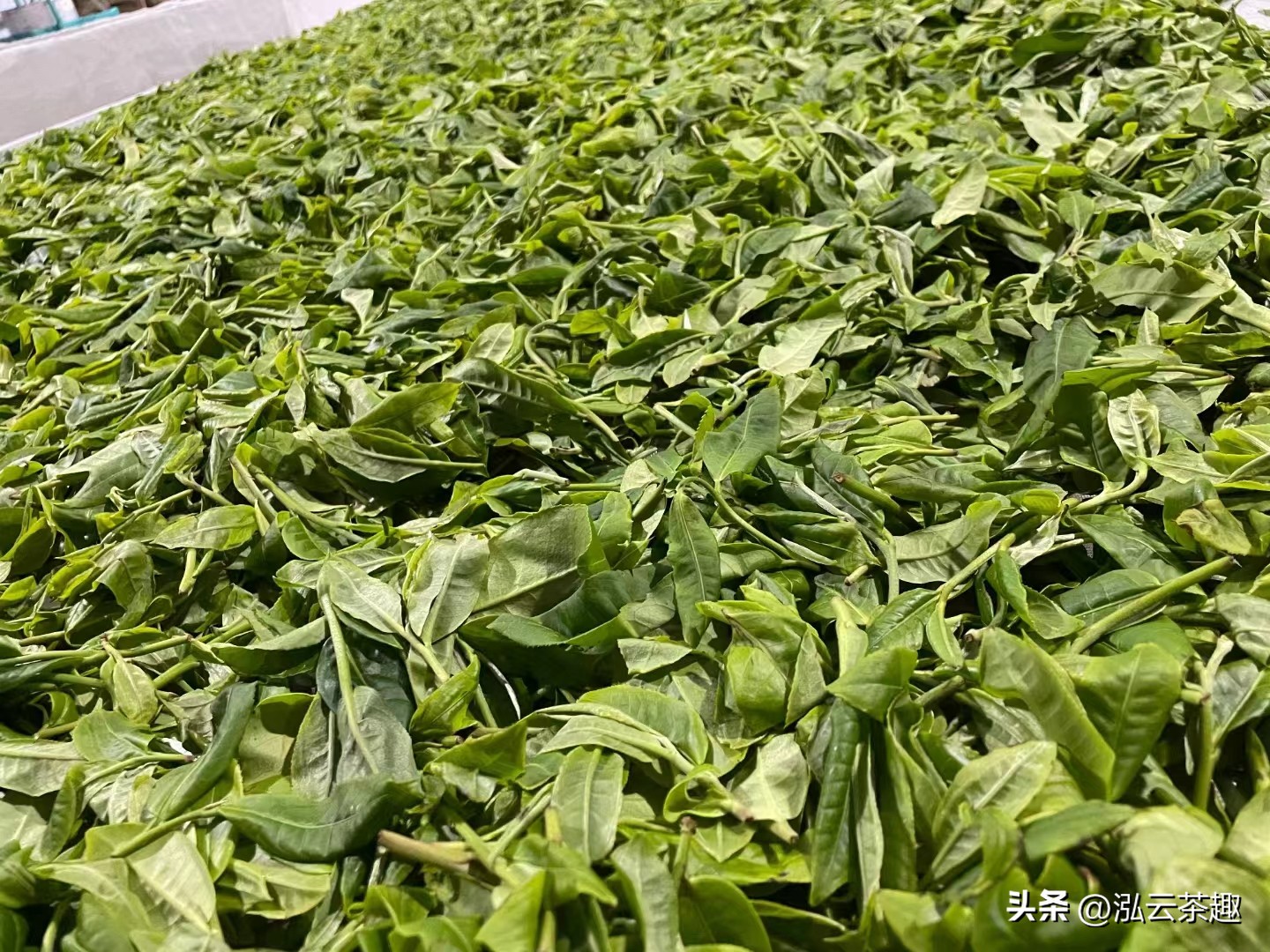 杀青最初指的是什么,杀青小说