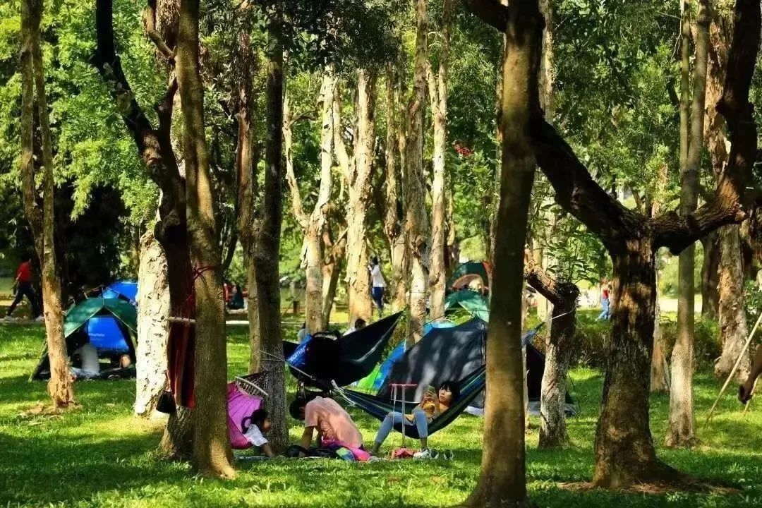 【FENG娱】王佐镇：娱乐+科普+自然，暑假解锁亲子出游新方式！