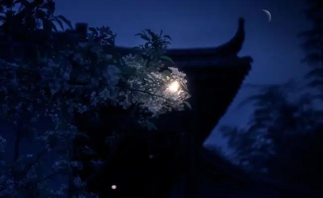 63岁的施瓦辛格,74岁施瓦辛格