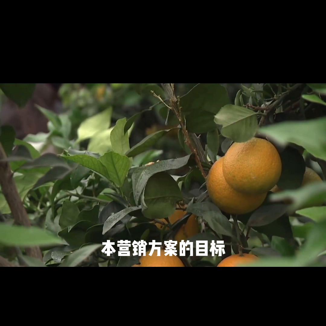 写字楼水果店营销方案,水果店营销方案100例免费