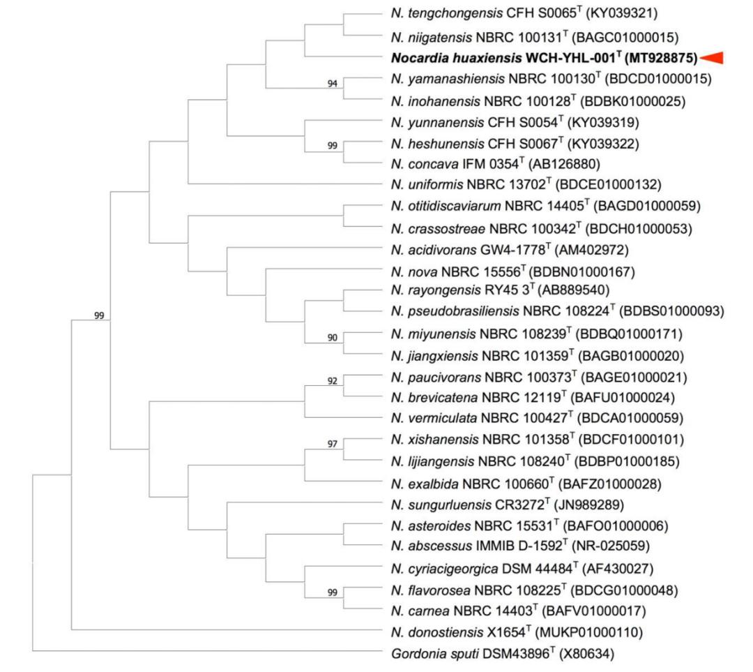 这种新的致病菌被命名为“华西诺卡菌”