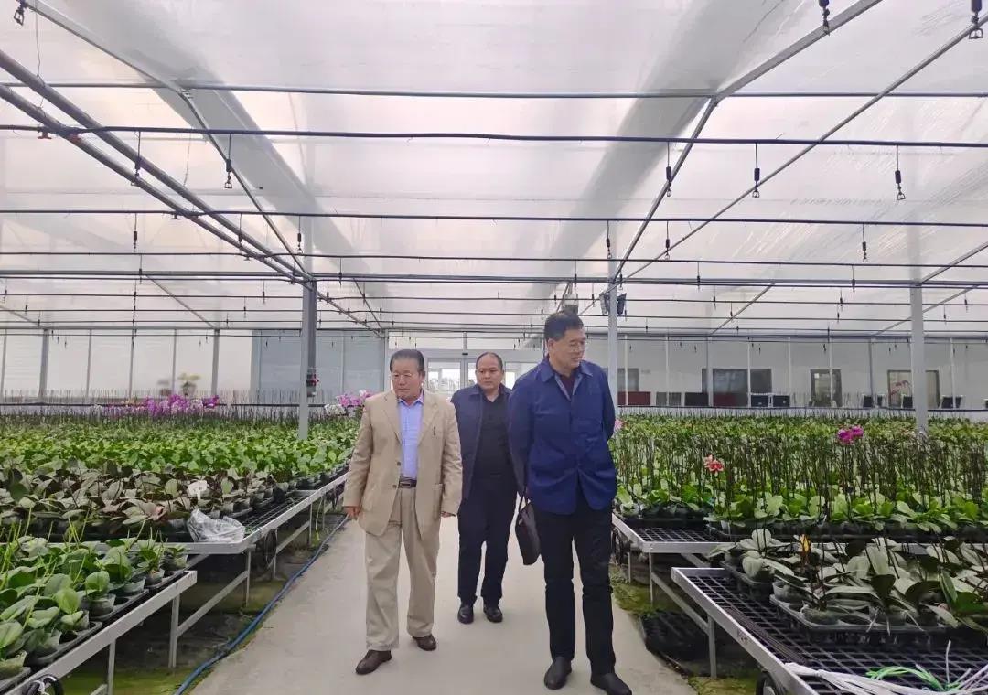 我县乡村振兴考察团,农业创新考察团