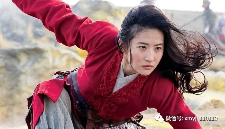 长毛的鸡肉丸子,淹制的鸡肉有点长毛还能吃吗