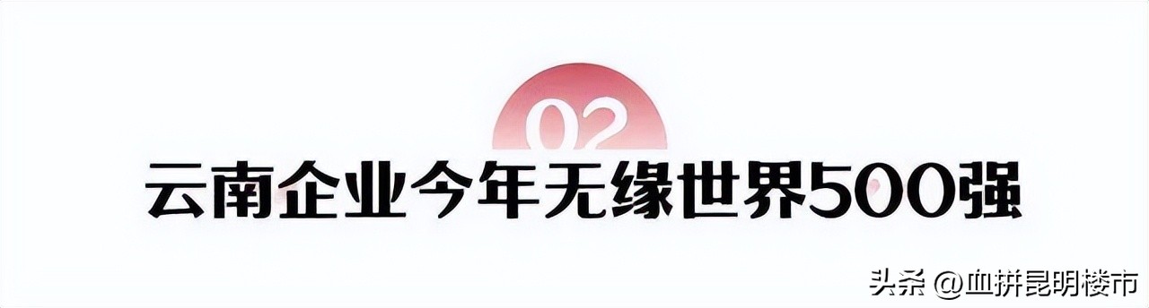 全国500强企业云南,2021中国500强云南上榜企业