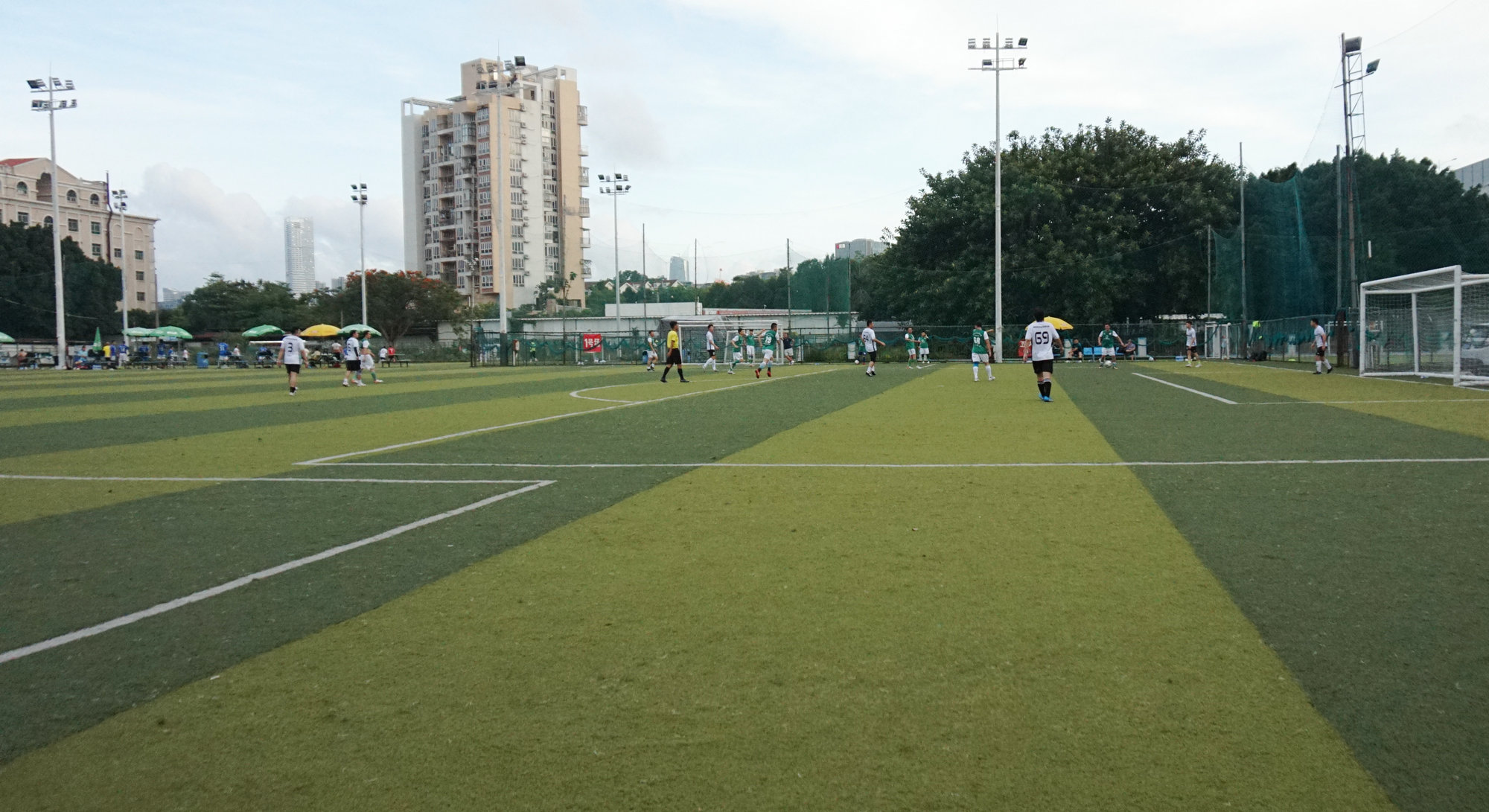 西南财大vs金强,苍狼vs老虎