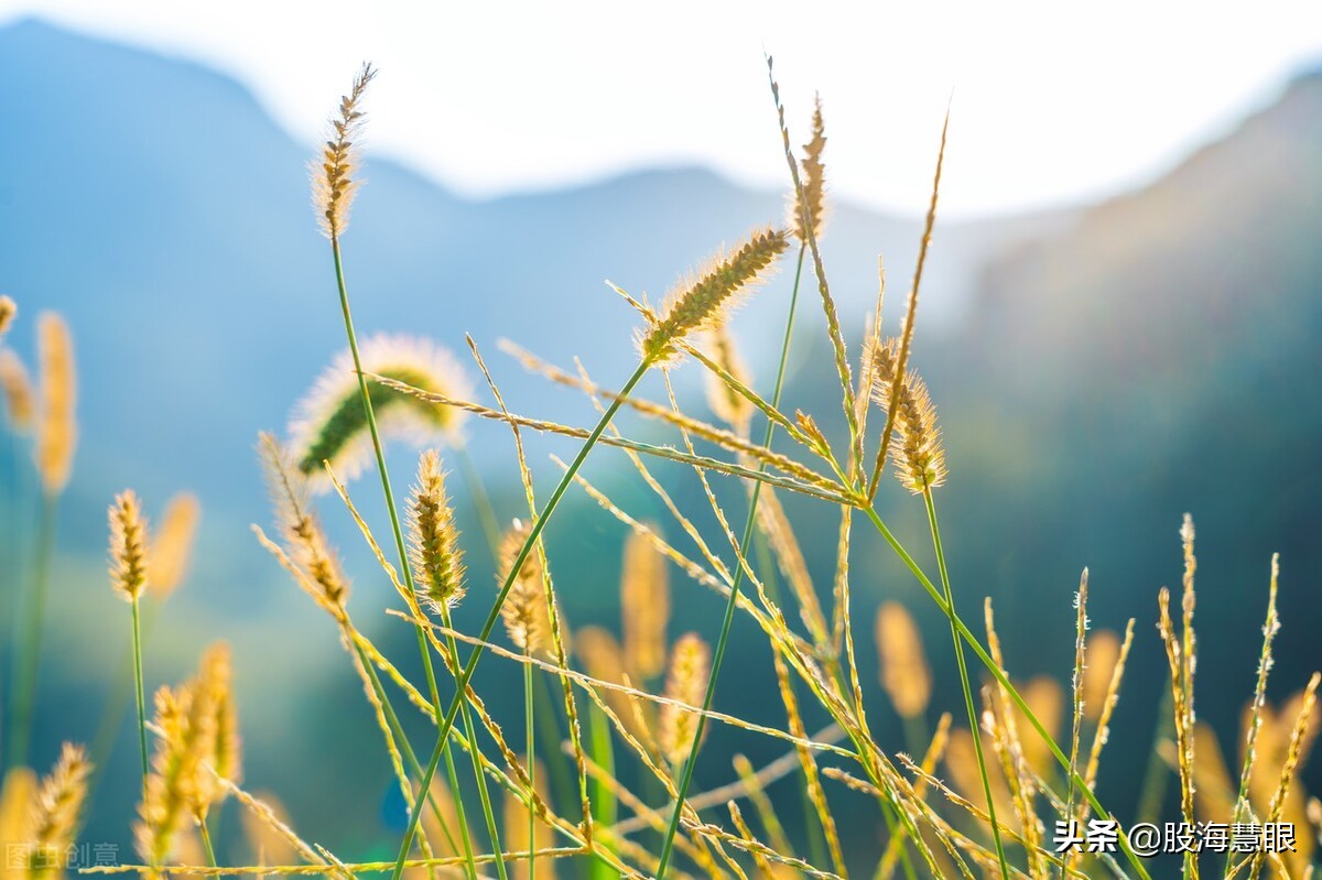黄俊的人物经历,期货黄俊专访