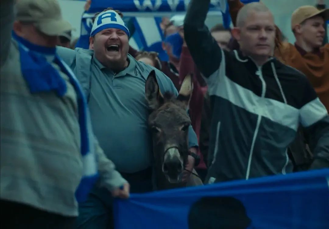 关于驴的电影大全,关于驴的电影解说