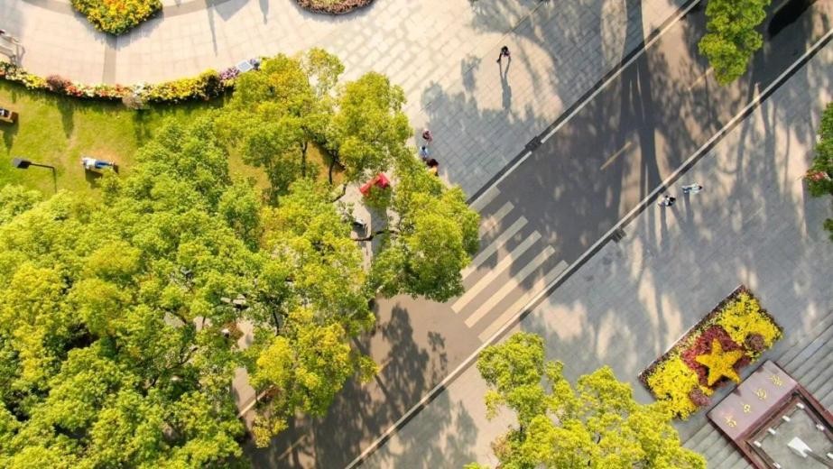 2020年华中师范大学排名,华中师范大学2010全国排名