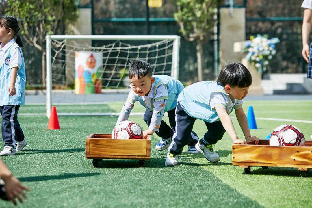 叮咚幼儿园开学,叮咚郑州