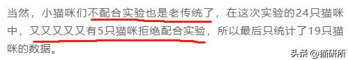 怎样测试猫咪的智商低还是高,如何测试猫咪的智商高不高