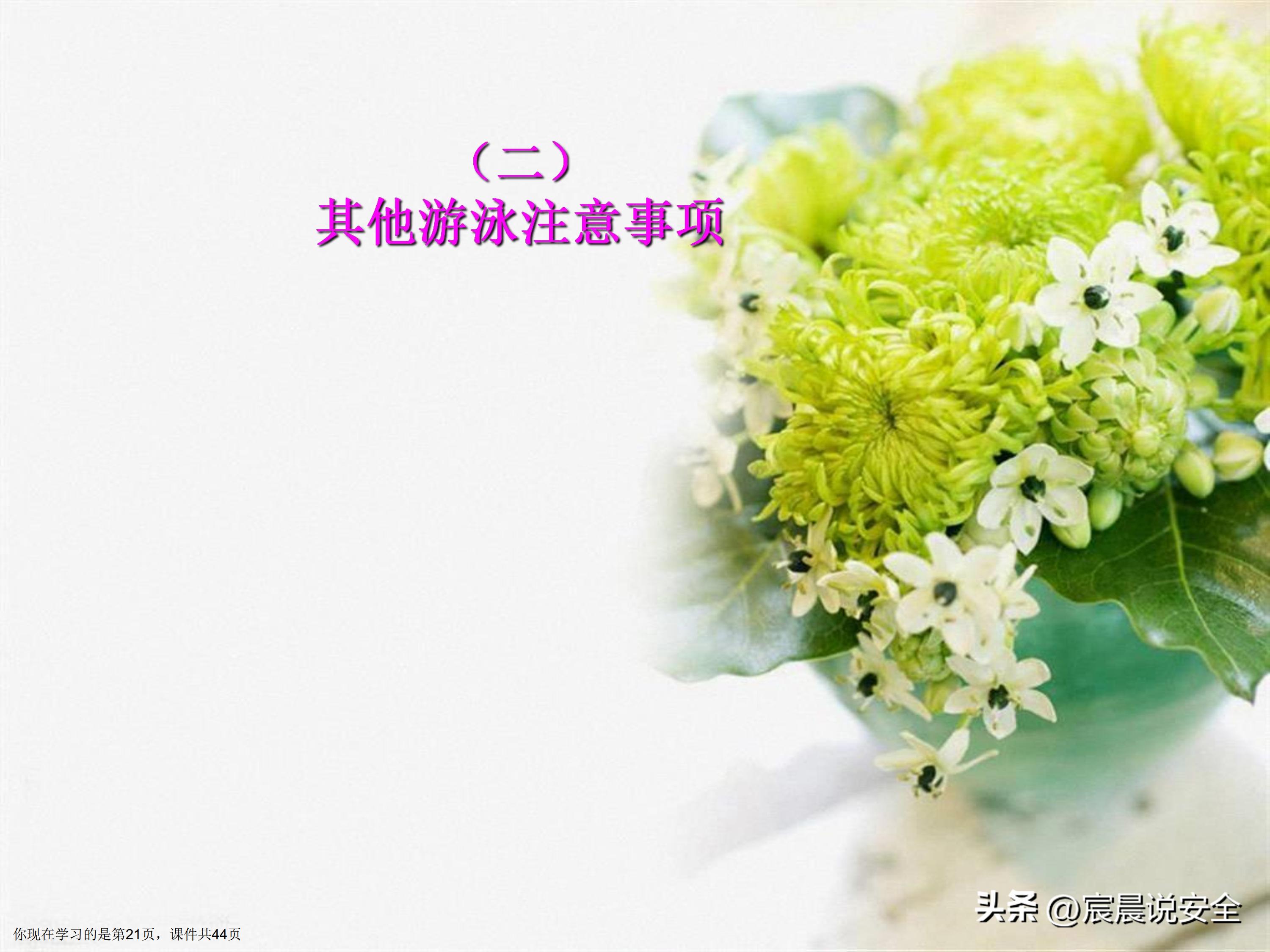 【EHS课件】游泳池游泳安全教育课件PPT