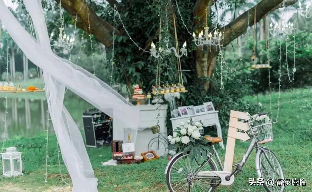 520明星撒糖,明星520特别表白婚礼