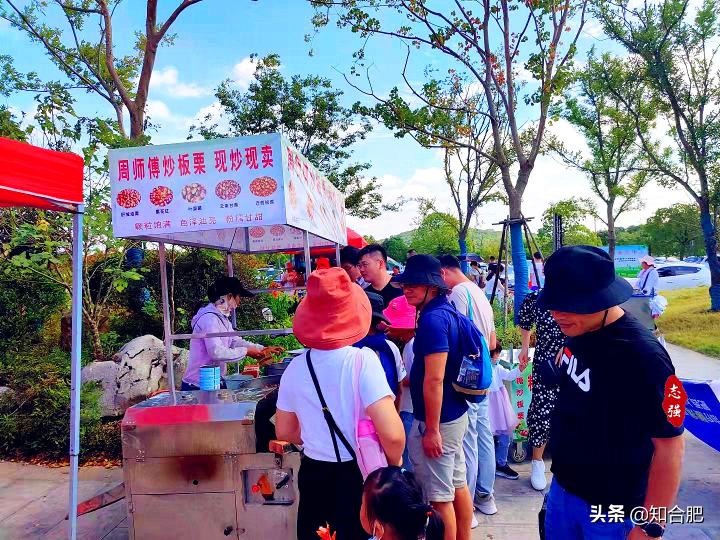 合肥有可能成为一个旅游城市吗,合肥旅游试点城市