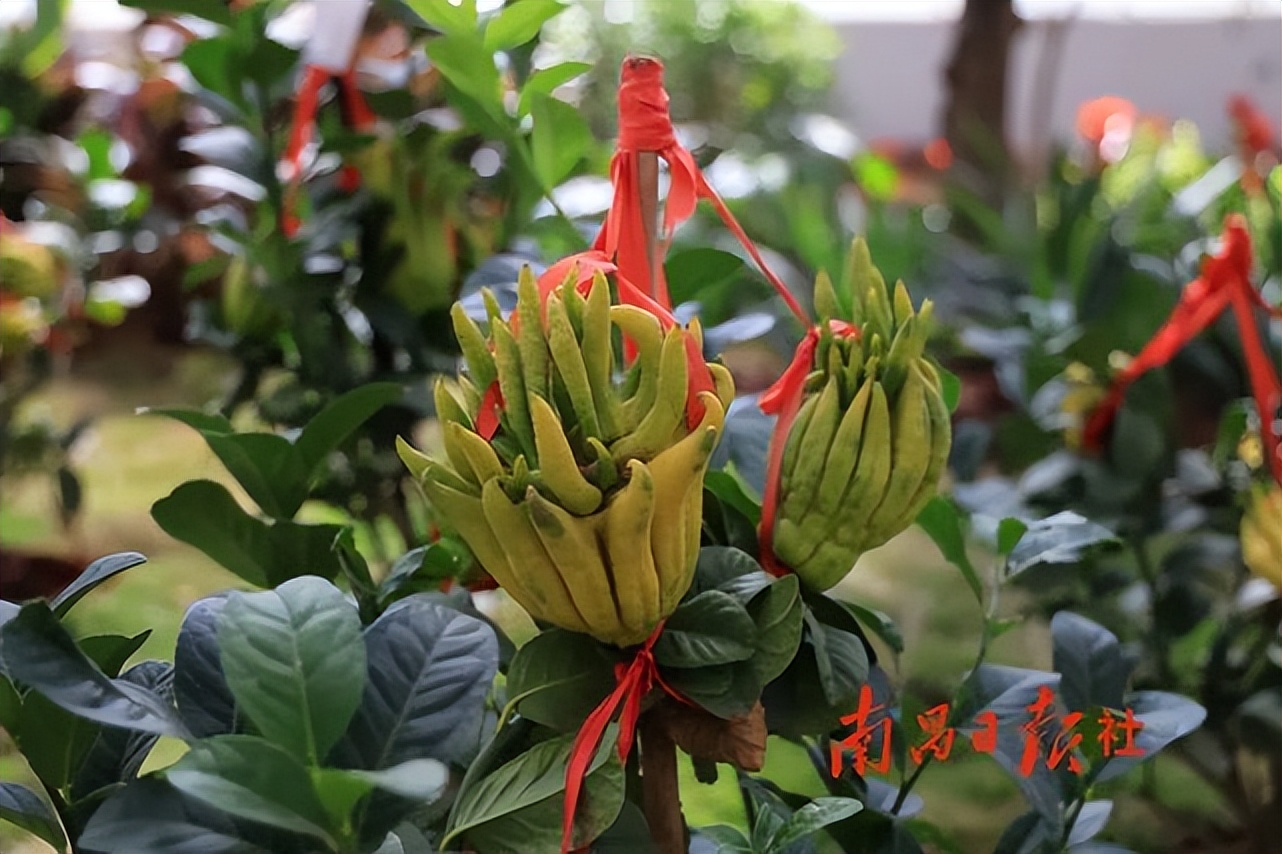 宽创国际完整视频,宽创国际怎么样