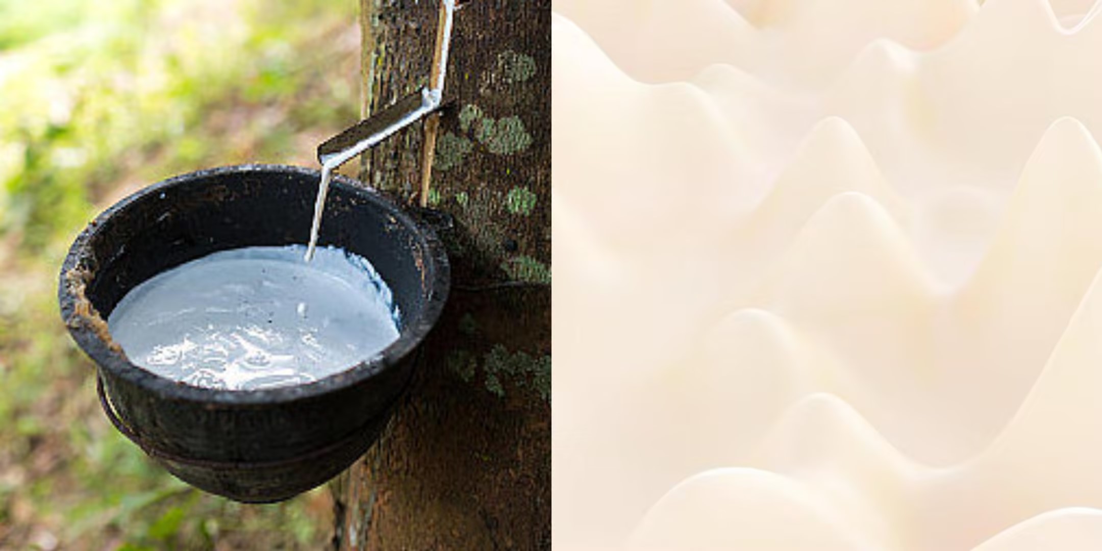 乳胶凉席买大一点好还是小一点,乳胶凉席到底买好还是不买好