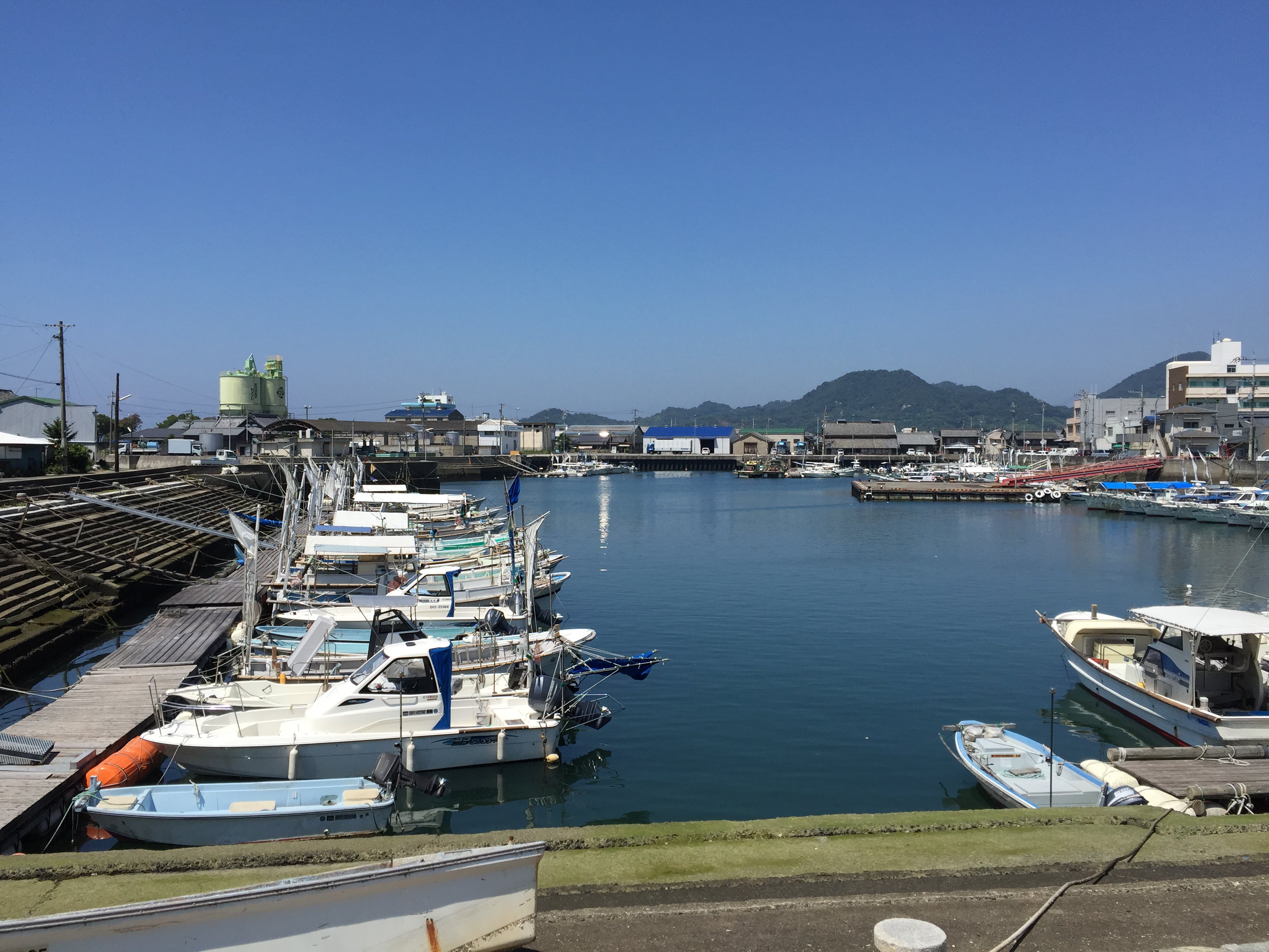 日本2024年死亡人数预测,日本或将消失