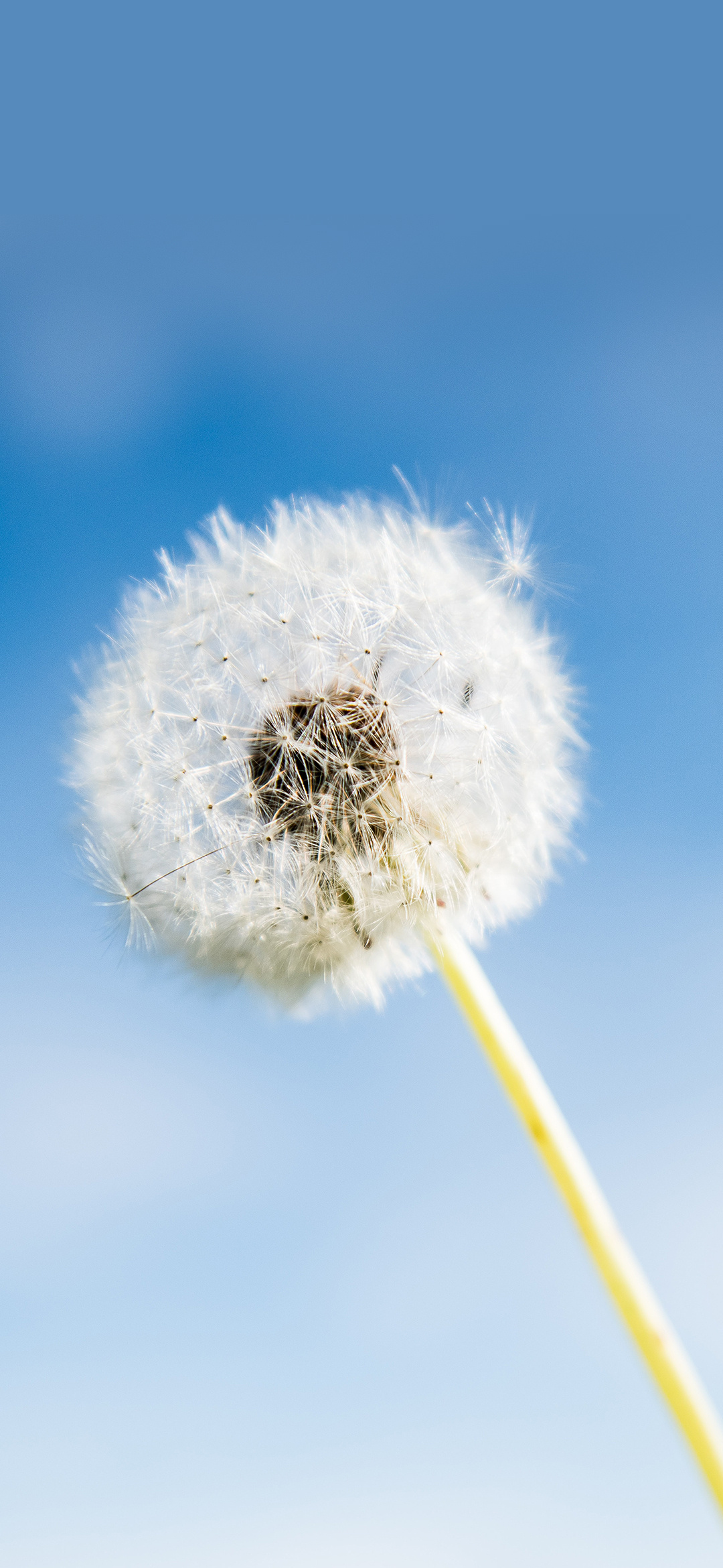 绝美高清手机壁纸唯美,绝美动漫手机壁纸高清