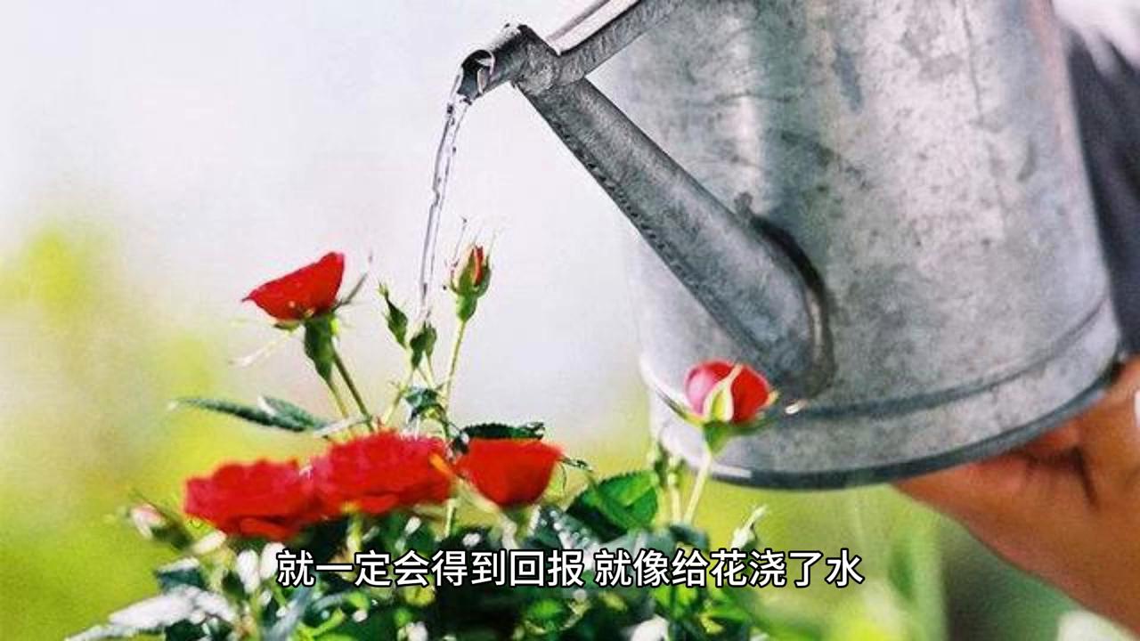 错误就像一根藤蔓，不要跟它有任何的纠缠@#只有经历过的...