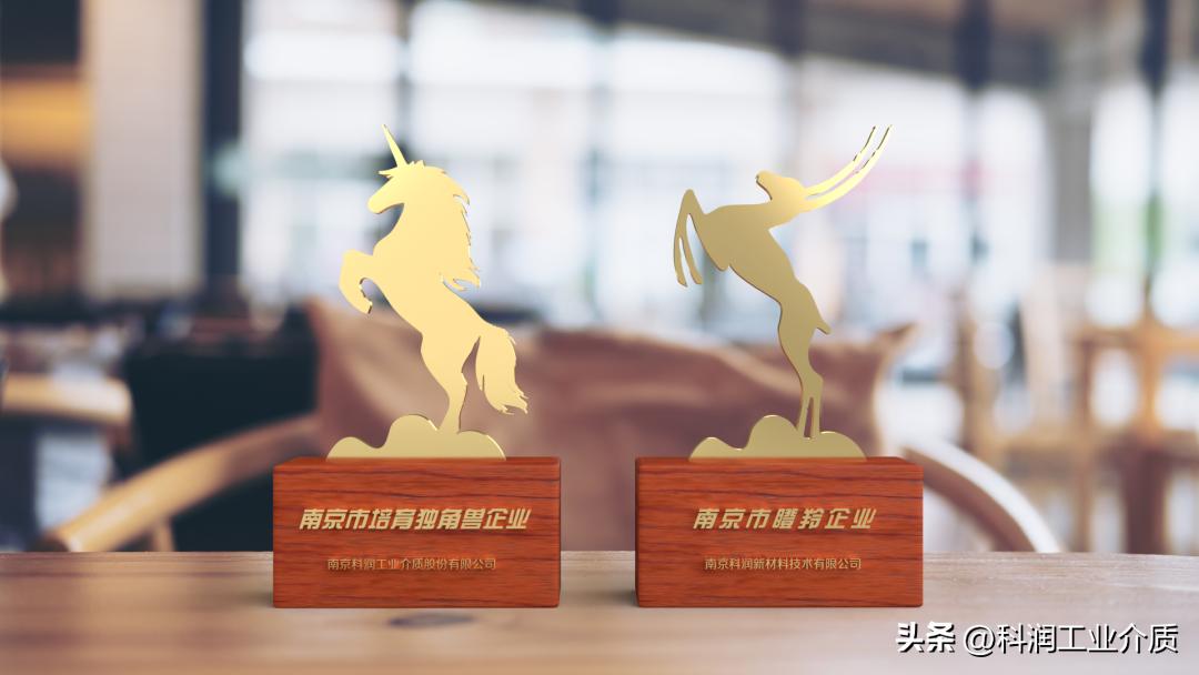 喜报获评领军人才,南京市独角兽和瞪羚企业名单