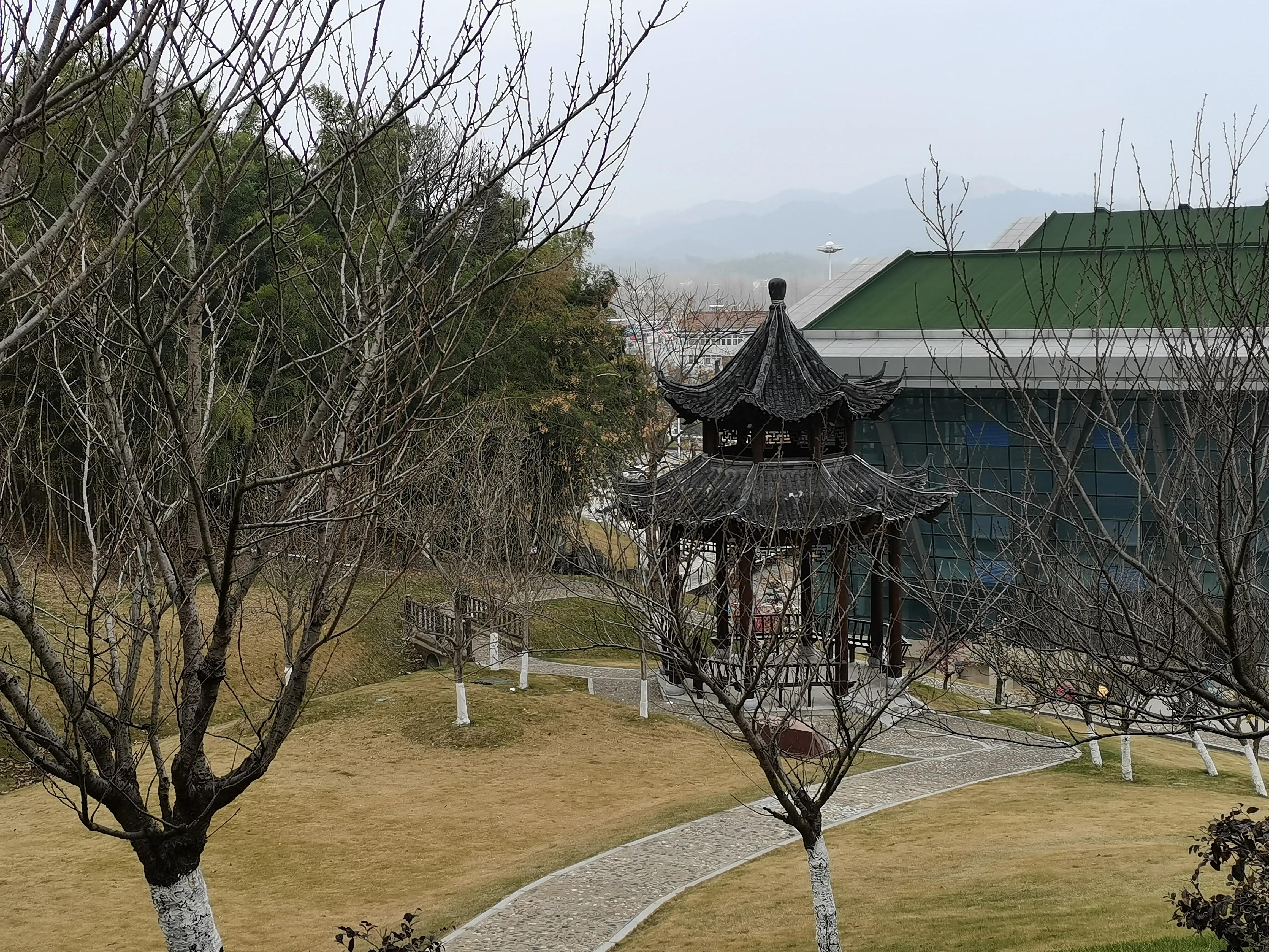 毛坦厂中学好不好,毛坦厂生源情况