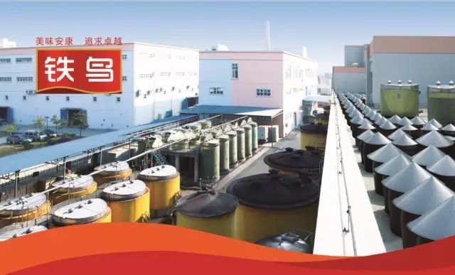 铁鸟好味道：民族的，即是世界的。