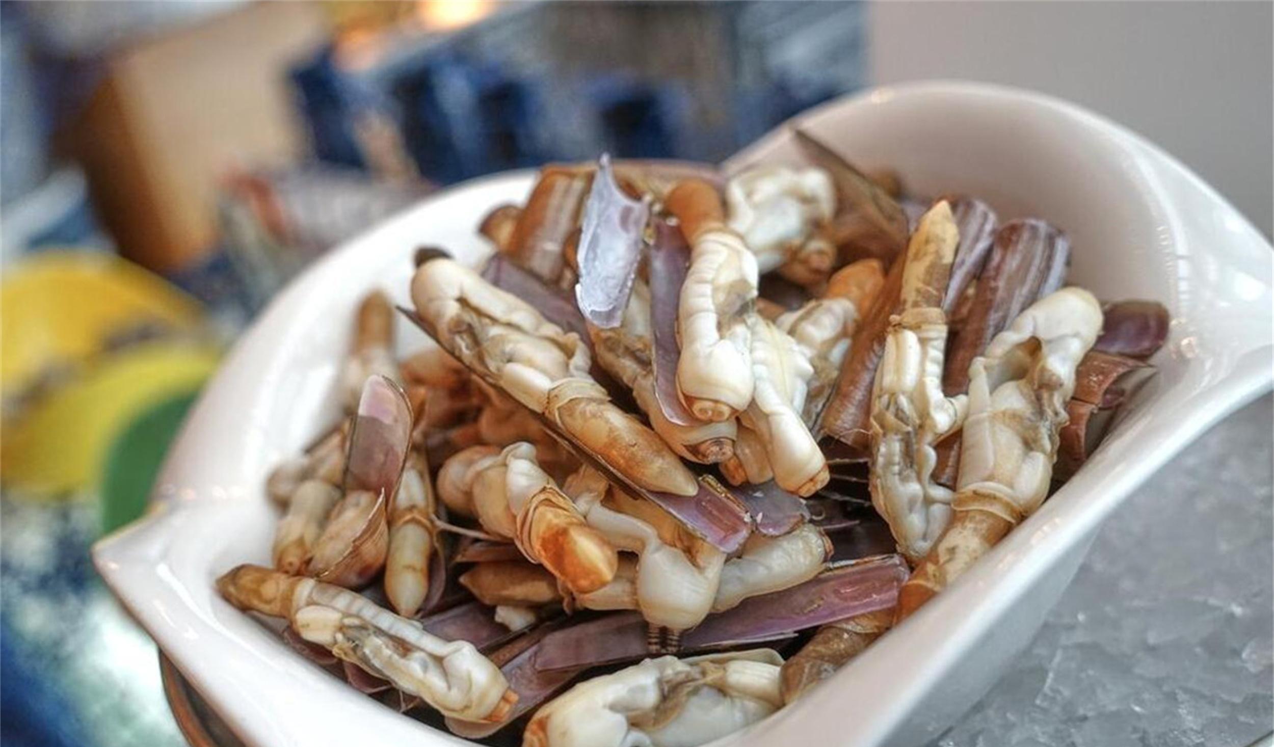 蛏子和牛肉哪个更补铁,蛏子和生蚝哪个更补铁