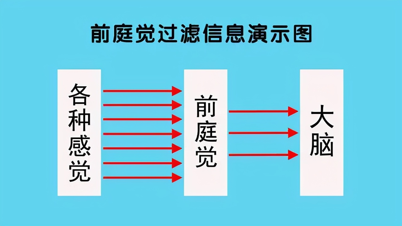 怎么判断孩子前庭系统是否出问题,孩子的前庭发展有什么好处
