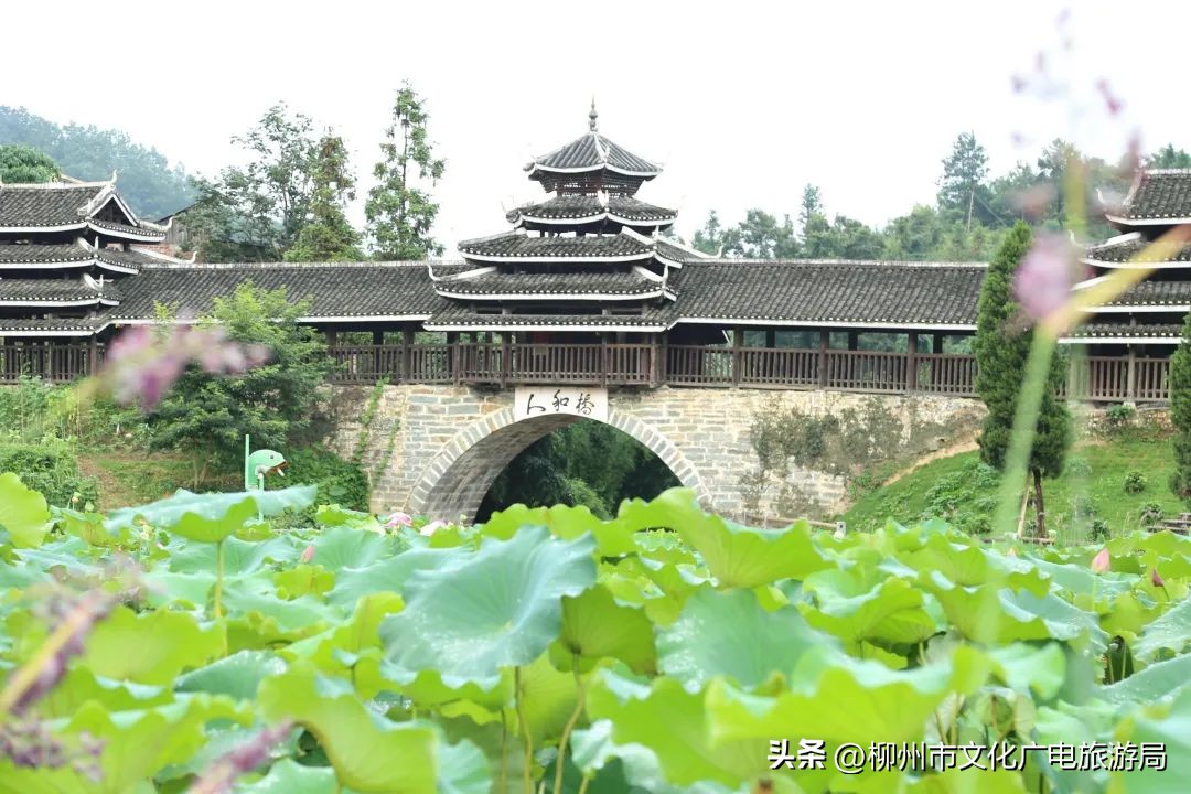 广西柳州三江县万怡酒店何时开业,柳州四星级以上酒店排名