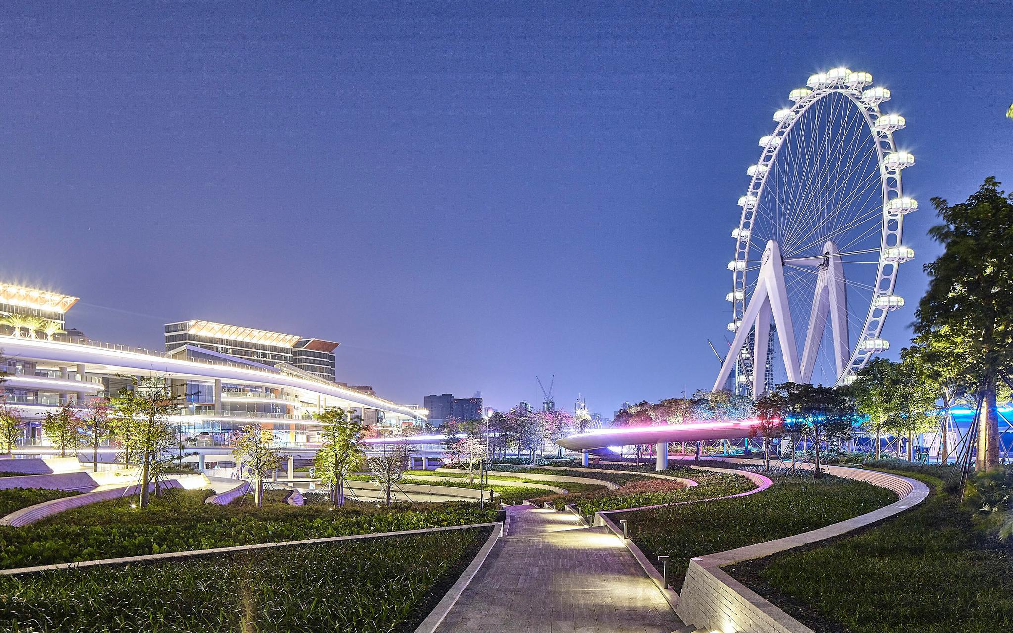 唯胜利论,推荐坚持就是胜利的小说