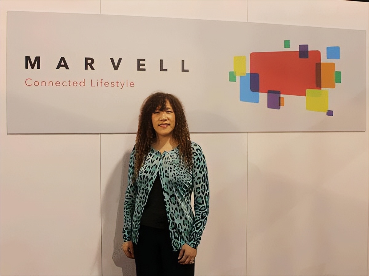 中国大陆第一！IP巨头芯原养成记：赚华为英伟达的钱，有理~