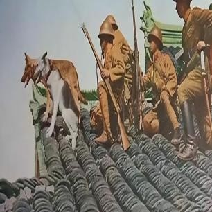 日军侵华兽行,日军当着国军的面杀俘虏