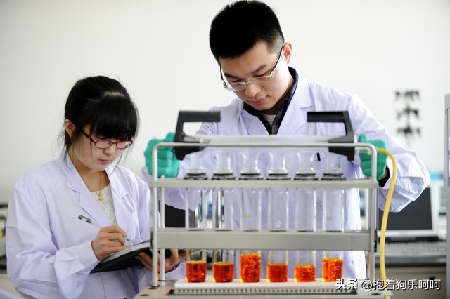 新的一年带给你吉祥和好运的春联,18副春联迎接你的专属好运